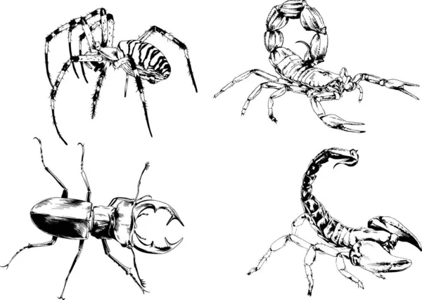 Desenhos Vetoriais Esboços Diferentes Insetos Insetos Escorpiões Aranhas Desenhadas Tinta — Vetor de Stock