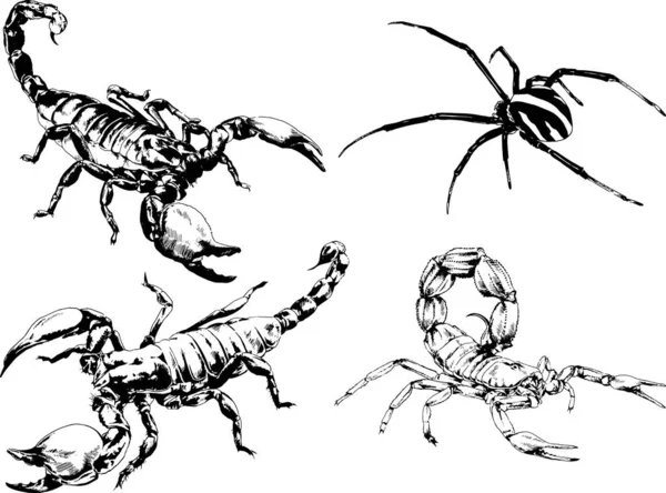 Desenhos Vetoriais Esboços Diferentes Insetos Insetos Escorpiões Aranhas Desenhadas Tinta —  Vetores de Stock