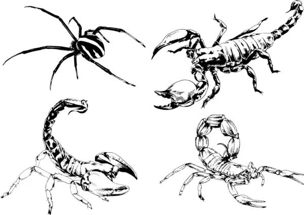 Vector Drawings Sketches Different Insects Bugs Scorpions Spiders Drawn Ink — Stock Vector