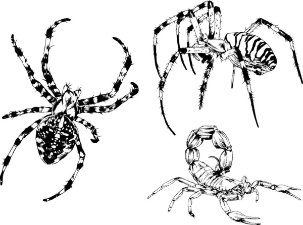 Σχέδια Διάνυσμα Διαφορετικά Έντομα Σφάλματα Σκορπιοί Αράχνες Σχεδιάζεται Μελάνι Χέρι — Διανυσματικό Αρχείο