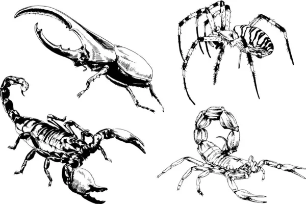 Desenhos Vetoriais Esboços Diferentes Insetos Insetos Escorpiões Aranhas Desenhadas Tinta —  Vetores de Stock