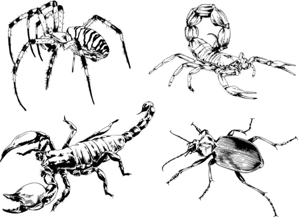 Σχέδια Διάνυσμα Διαφορετικά Έντομα Σφάλματα Σκορπιοί Αράχνες Σχεδιάζεται Μελάνι Χέρι — Διανυσματικό Αρχείο