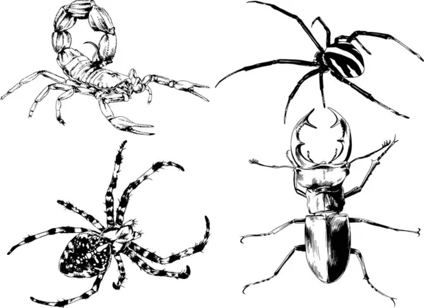 Dibujos Vectoriales Bocetos Insectos Diferentes Insectos Scorpions Arañas Dibujadas Con — Vector de stock