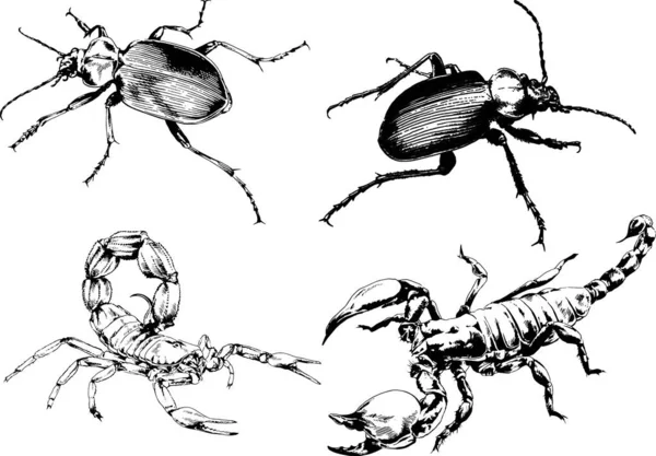 Dibujos Vectoriales Bocetos Insectos Diferentes Insectos Scorpions Arañas Dibujadas Con — Vector de stock