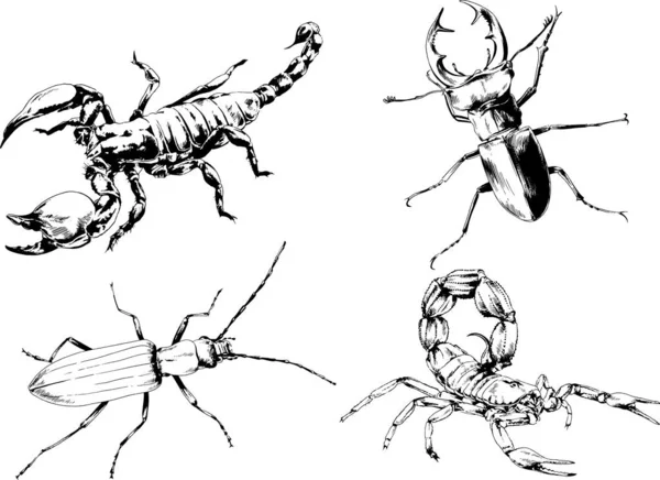 Desenhos Vetoriais Esboços Diferentes Insetos Insetos Escorpiões Aranhas Desenhadas Tinta —  Vetores de Stock