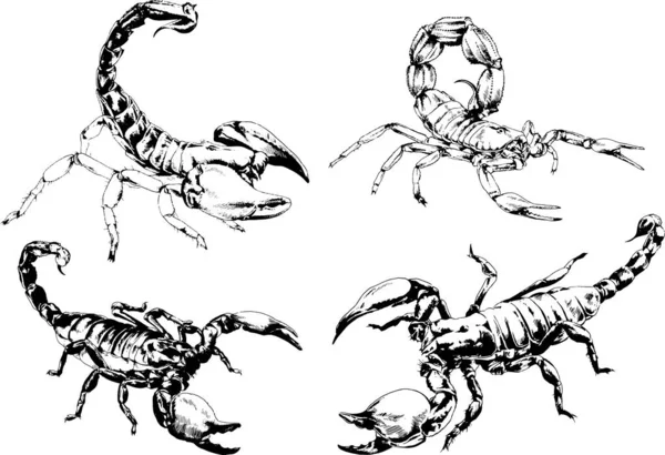 Desenhos Vetoriais Esboços Diferentes Insetos Insetos Escorpiões Aranhas Desenhadas Tinta —  Vetores de Stock