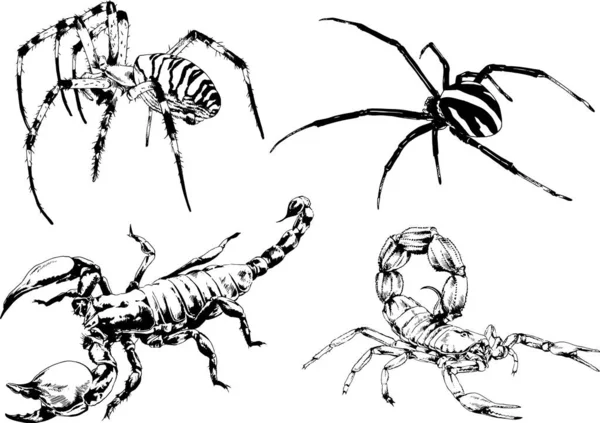 Vector Drawings Sketches Different Insects Bugs Scorpions Spiders Drawn Ink — Stock Vector