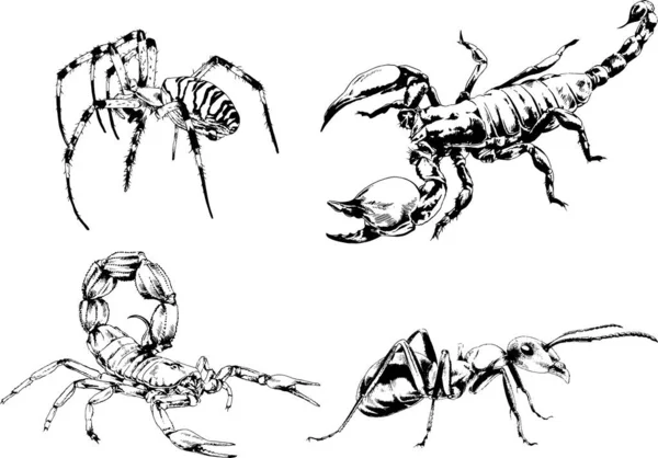 ベクトル図は異なる昆虫のバグをスケッチ手でインクで描かれたスコーピオンクモ 背景のないオブジェクト — ストックベクタ