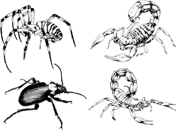 Vektorzeichnungen Skizzieren Verschiedene Insekten Käfer Skorpione Spinnen Mit Tusche Von — Stockvektor