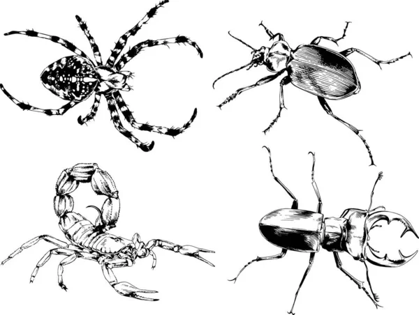 ベクトル図は異なる昆虫のバグをスケッチ手でインクで描かれたスコーピオンクモ 背景のないオブジェクト — ストックベクタ