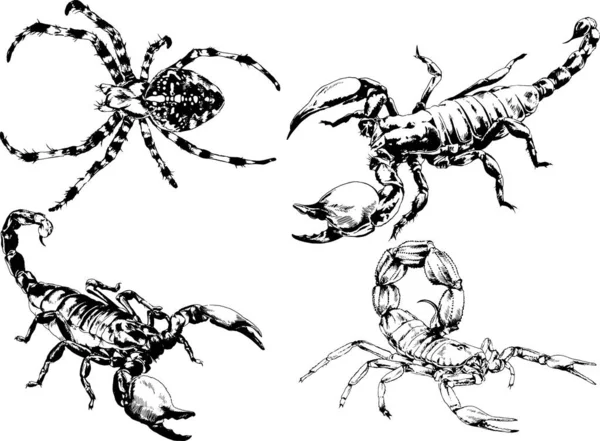 Desenhos Vetoriais Esboços Diferentes Insetos Insetos Escorpiões Aranhas Desenhadas Tinta — Vetor de Stock