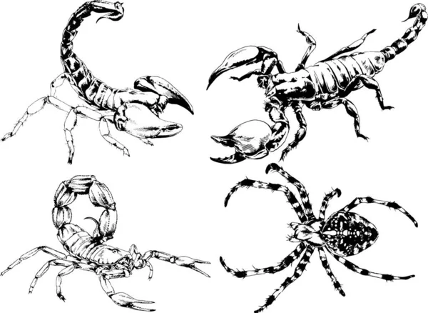 Desenhos Vetoriais Esboços Diferentes Insetos Insetos Escorpiões Aranhas Desenhadas Tinta —  Vetores de Stock