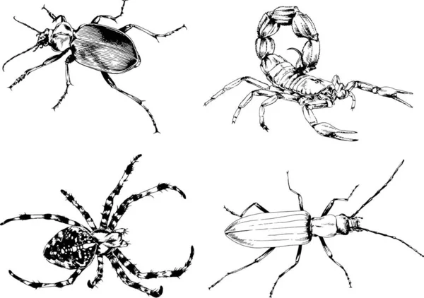 Vector Drawings Sketches Different Insects Bugs Scorpions Spiders Drawn Ink — Stock Vector