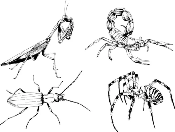 Vektor Ritningar Skisser Olika Insekter Buggar Skorpioner Spindlar Dras Med — Stock vektor