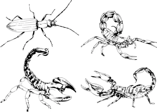 Vectortekeningen Schetst Verschillende Insecten Insecten Schorpioenen Spinnen Met Hand Getekend — Stockvector