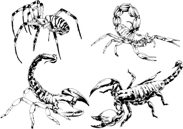 Vector Drawings Sketches Different Insects Bugs Scorpions Spiders Drawn Ink — Stock Vector