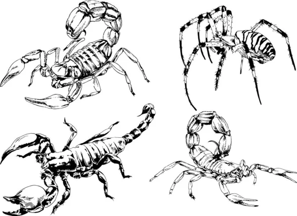 Desenhos Vetoriais Esboços Diferentes Insetos Insetos Escorpiões Aranhas Desenhadas Tinta —  Vetores de Stock