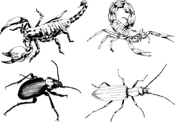 Vectortekeningen Schetst Verschillende Insecten Insecten Schorpioenen Spinnen Met Hand Getekend — Stockvector