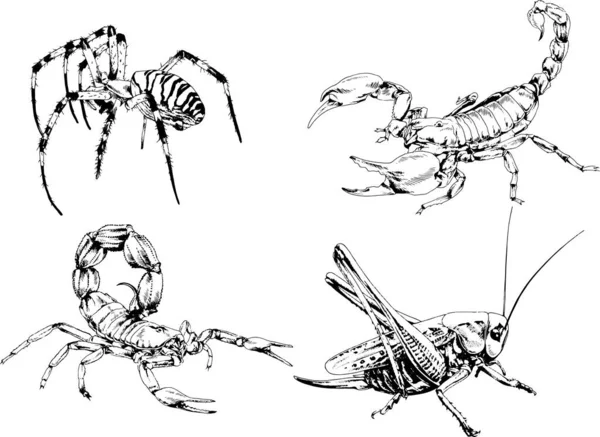 Desenhos Vetoriais Esboços Diferentes Insetos Insetos Escorpiões Aranhas Desenhadas Tinta —  Vetores de Stock