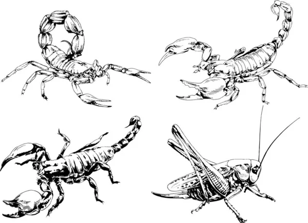 Vectortekeningen Schetst Verschillende Insecten Insecten Schorpioenen Spinnen Met Hand Getekend — Stockvector