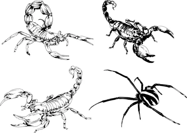 Desenhos Vetoriais Esboços Diferentes Insetos Insetos Escorpiões Aranhas Desenhadas Tinta —  Vetores de Stock