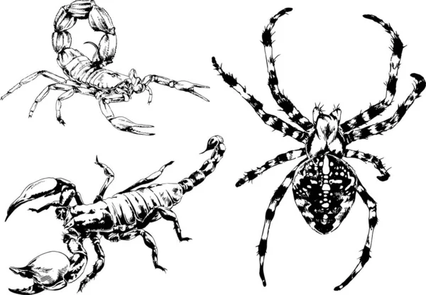 Dibujos Vectoriales Bocetos Insectos Diferentes Insectos Scorpions Arañas Dibujadas Con — Vector de stock