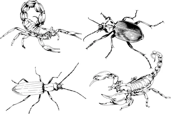 Dibujos Vectoriales Bocetos Insectos Diferentes Insectos Scorpions Arañas Dibujadas Con — Vector de stock