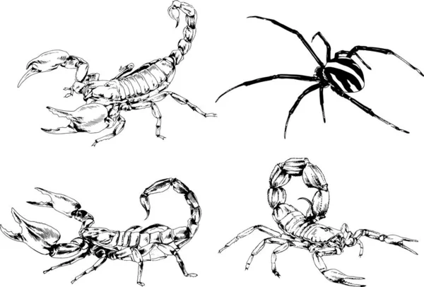 Vectortekeningen Schetst Verschillende Insecten Insecten Schorpioenen Spinnen Met Hand Getekend — Stockvector