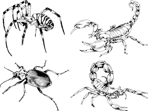 Desenhos Vetoriais Esboços Diferentes Insetos Insetos Escorpiões Aranhas Desenhadas Tinta —  Vetores de Stock