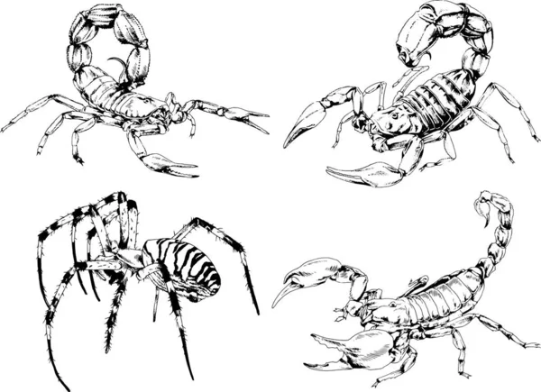 Desenhos Vetoriais Esboços Diferentes Insetos Insetos Escorpiões Aranhas Desenhadas Tinta —  Vetores de Stock