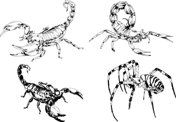 ベクトル図は異なる昆虫のバグをスケッチ手でインクで描かれたスコーピオンクモ 背景のないオブジェクト — ストックベクタ