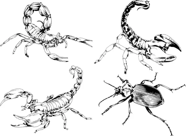 Vectortekeningen Schetst Verschillende Insecten Insecten Schorpioenen Spinnen Met Hand Getekend — Stockvector