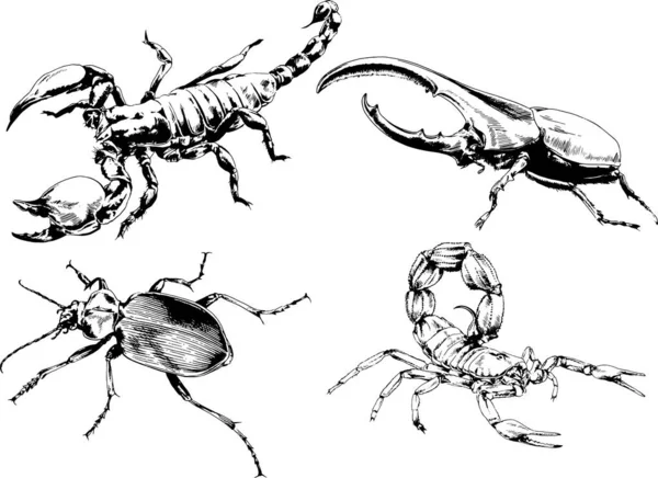 Desenhos Vetoriais Esboços Diferentes Insetos Insetos Escorpiões Aranhas Desenhadas Tinta —  Vetores de Stock