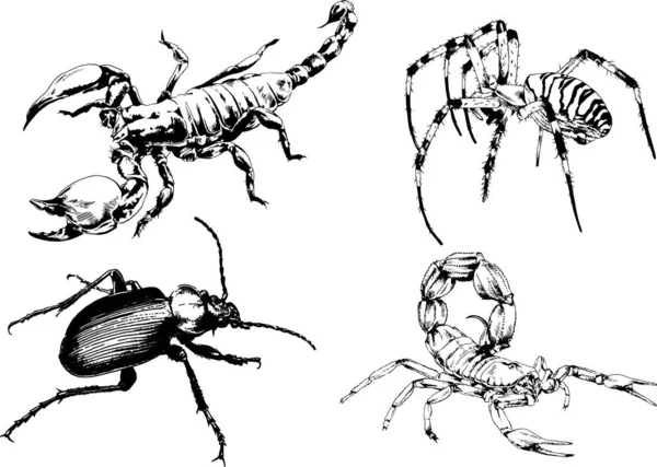 Desenhos Vetoriais Esboços Diferentes Insetos Insetos Escorpiões Aranhas Desenhadas Tinta —  Vetores de Stock