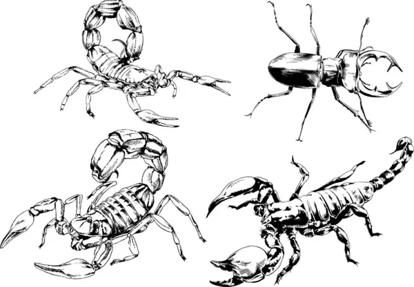 Desenhos Vetoriais Esboços Diferentes Insetos Insetos Escorpiões Aranhas Desenhadas Tinta — Vetor de Stock