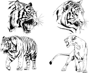 Yırtıcıların temasındaki vektör çizimleri mürekkep dövmeli logolarla elle çizilir.