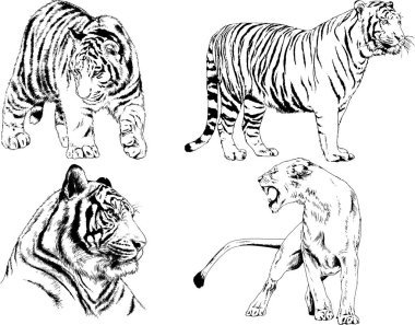 Yırtıcıların temasındaki vektör çizimleri mürekkep dövmeli logolarla elle çizilir.