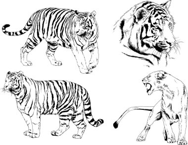 Yırtıcıların temasındaki vektör çizimleri mürekkep dövmeli logolarla elle çizilir.