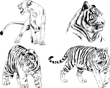 Yırtıcıların temasındaki vektör çizimleri mürekkep dövmeli logolarla elle çizilir.