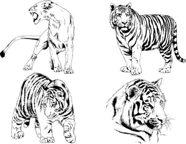 Yırtıcıların temasındaki vektör çizimleri mürekkep dövmeli logolarla elle çizilir.