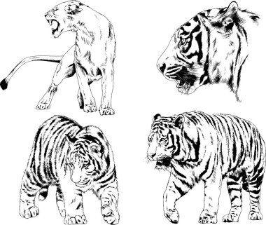 Yırtıcıların temasındaki vektör çizimleri mürekkep dövmeli logolarla elle çizilir.