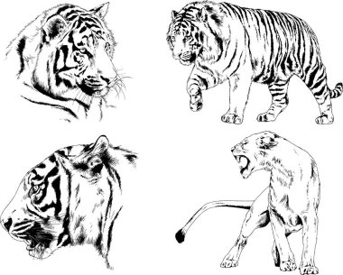 Yırtıcıların temasındaki vektör çizimleri mürekkep dövmeli logolarla elle çizilir.