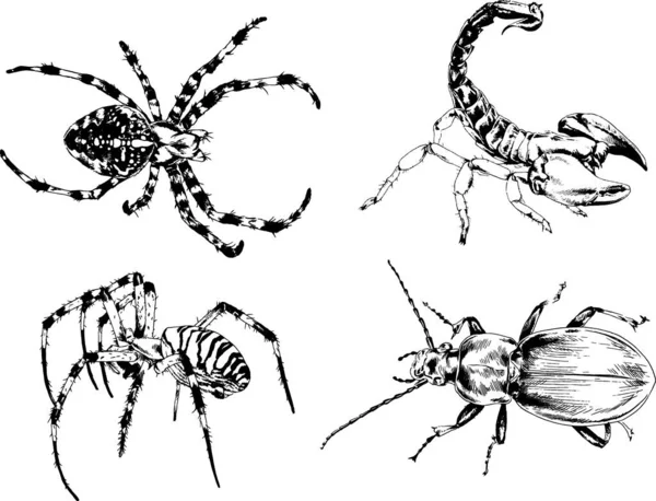 Dibujos Vectoriales Bocetos Insectos Diferentes Insectos Scorpions Arañas Dibujadas Con — Vector de stock