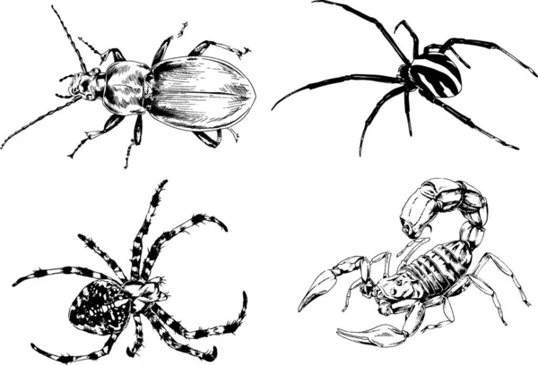 矢量绘图描绘了不同的昆虫昆虫蝎子蜘蛛用墨水手绘 没有背景的物体 — 图库矢量图片