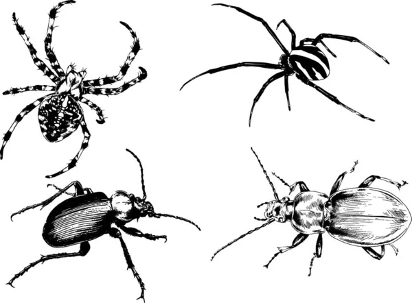 Desenhos Vetoriais Esboços Diferentes Insetos Insetos Escorpiões Aranhas Desenhadas Tinta — Vetor de Stock