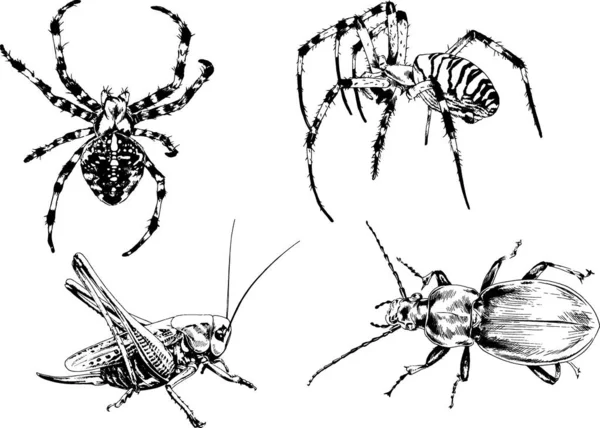 그림은 손으로 잉크로 물체들을 벌레들의 거미들을 그림이다 — 스톡 벡터