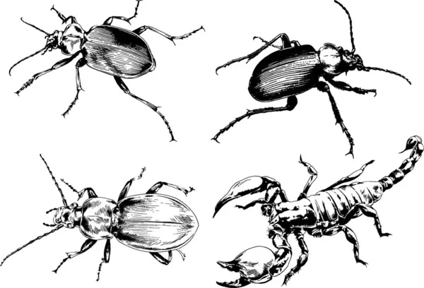 Vectortekeningen Schetst Verschillende Insecten Insecten Schorpioenen Spinnen Met Hand Getekend — Stockvector