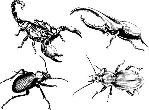 그림은 손으로 잉크로 물체들을 벌레들의 거미들을 그림이다 — 스톡 벡터