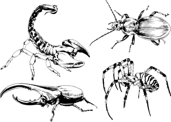 Desenhos Vetoriais Esboços Diferentes Insetos Insetos Escorpiões Aranhas Desenhadas Tinta — Vetor de Stock