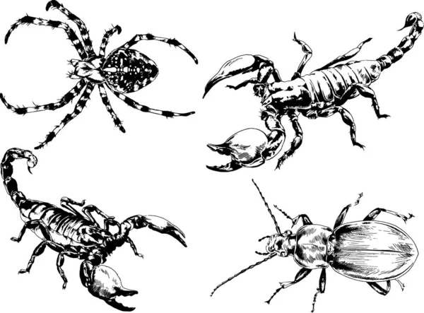 Vektorzeichnungen Skizzieren Verschiedene Insekten Käfer Skorpione Spinnen Mit Tusche Von — Stockvektor